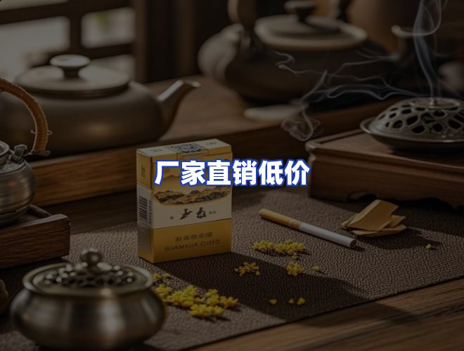 专业团队